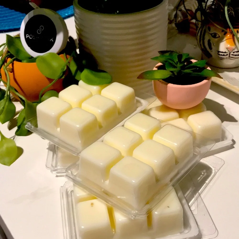 Scents Wax Melts Beach Sand Vibe Salted Seas Hand Crafted Final Sale